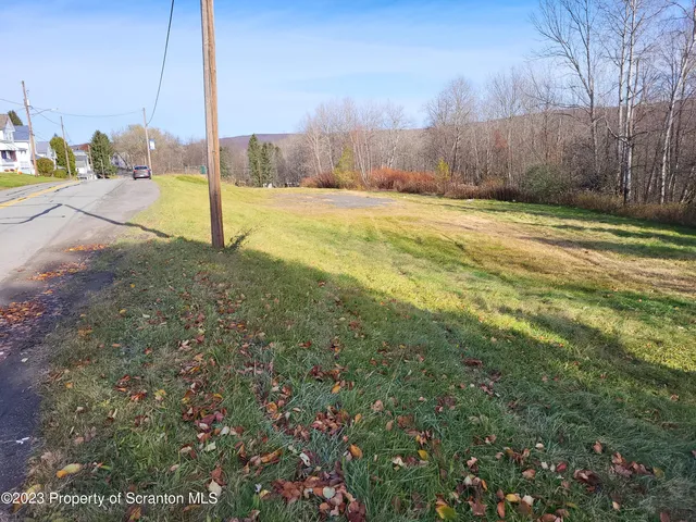 a view of a yard with an trees