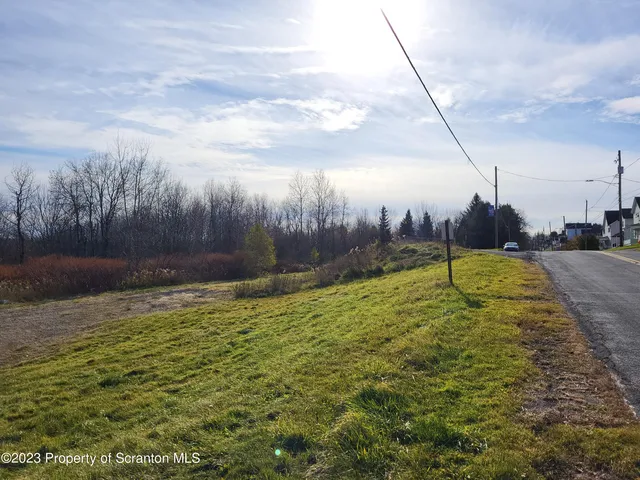 a view of a backyard with large trees