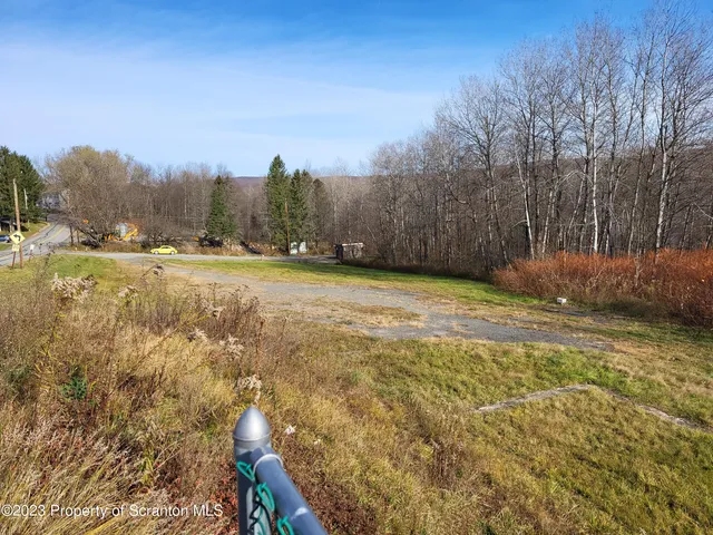 a view of a yard with large trees