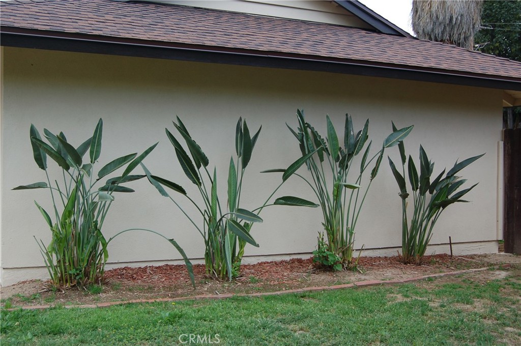 8484 Monteel Place Riverside, CA 92504 - Photo 3 of 34 a view of a backyard with plants and palm trees