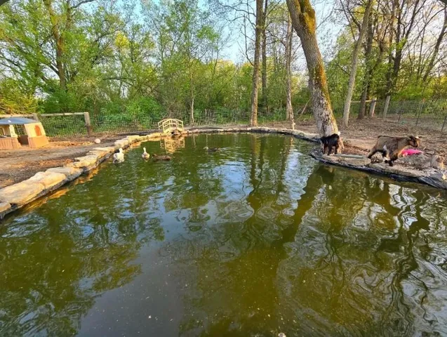 $565,000 | N4534 Cloverdale Road, Irving, WI 54615