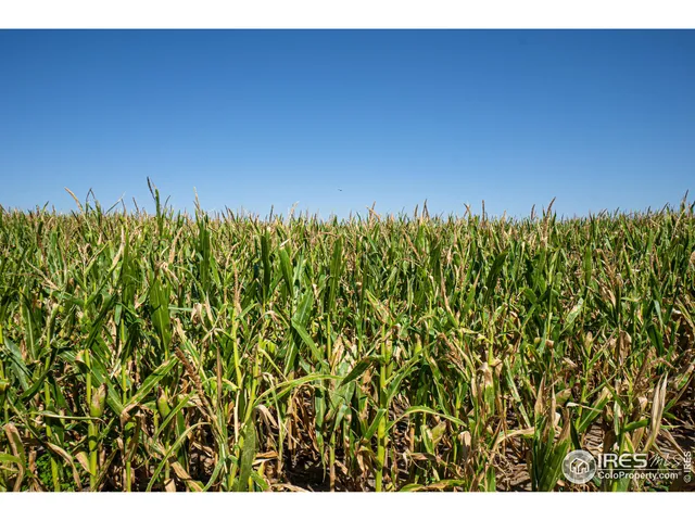 $1,100,000 | 47480 2nd, Denver, CO 80233