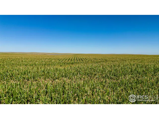 $1,100,000 | 47480 2nd, Denver, CO 80233