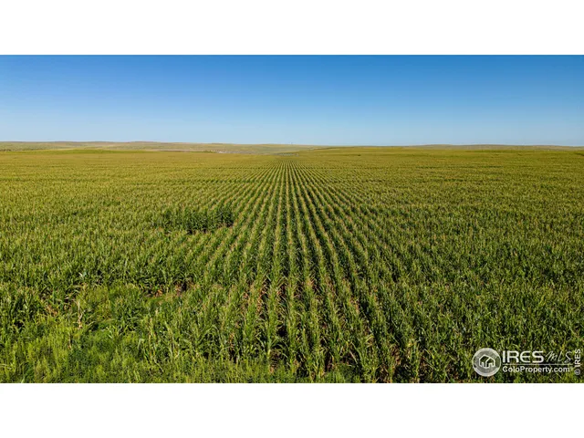 $1,100,000 | 47480 2nd, Denver, CO 80233