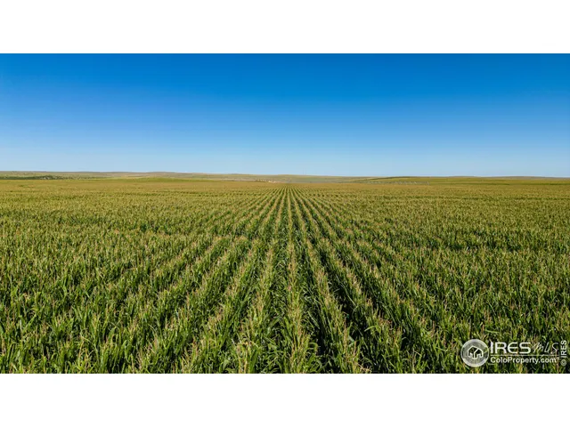 $1,100,000 | 47480 2nd, Denver, CO 80233