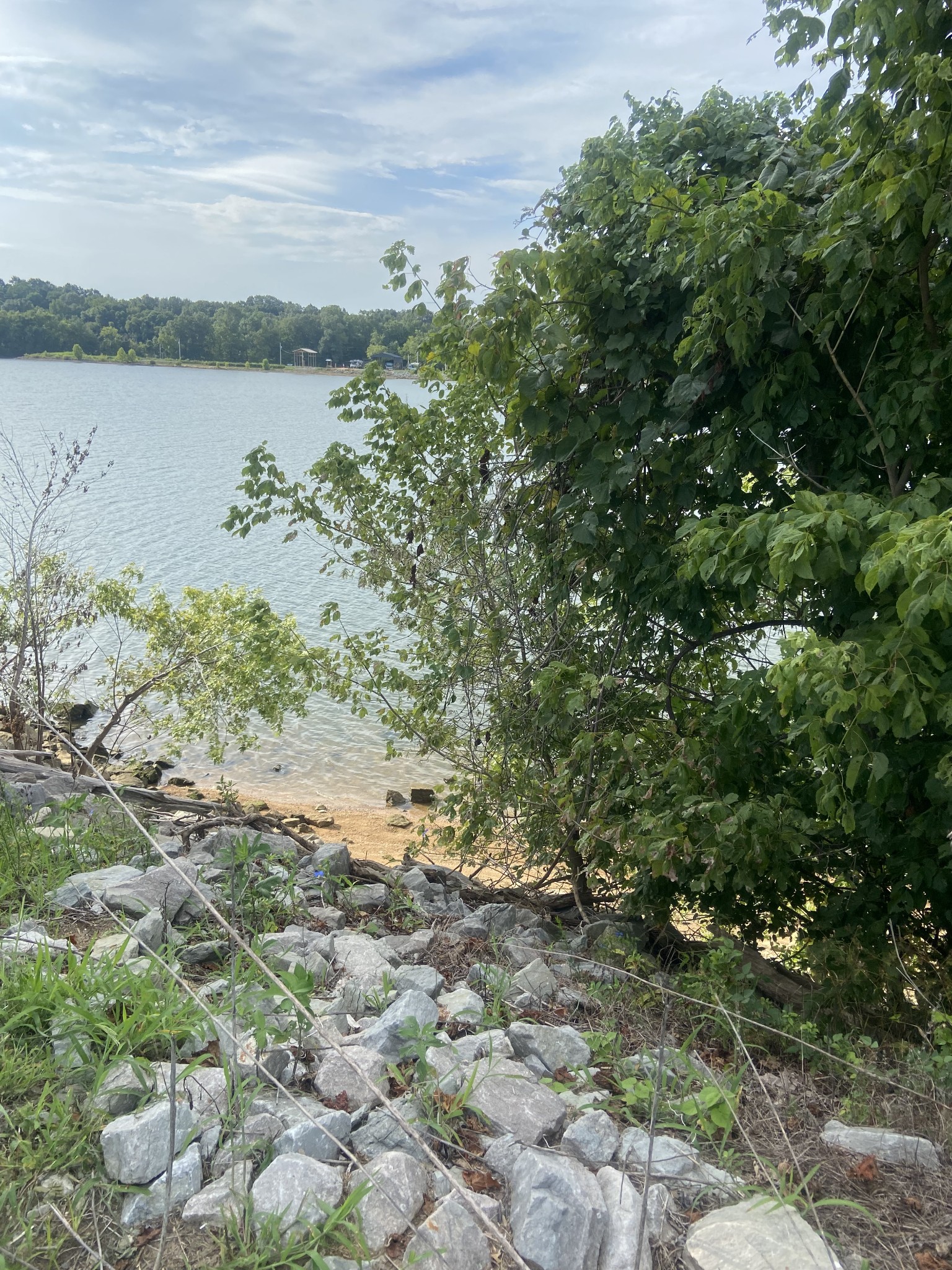 a view of a lake with a forest