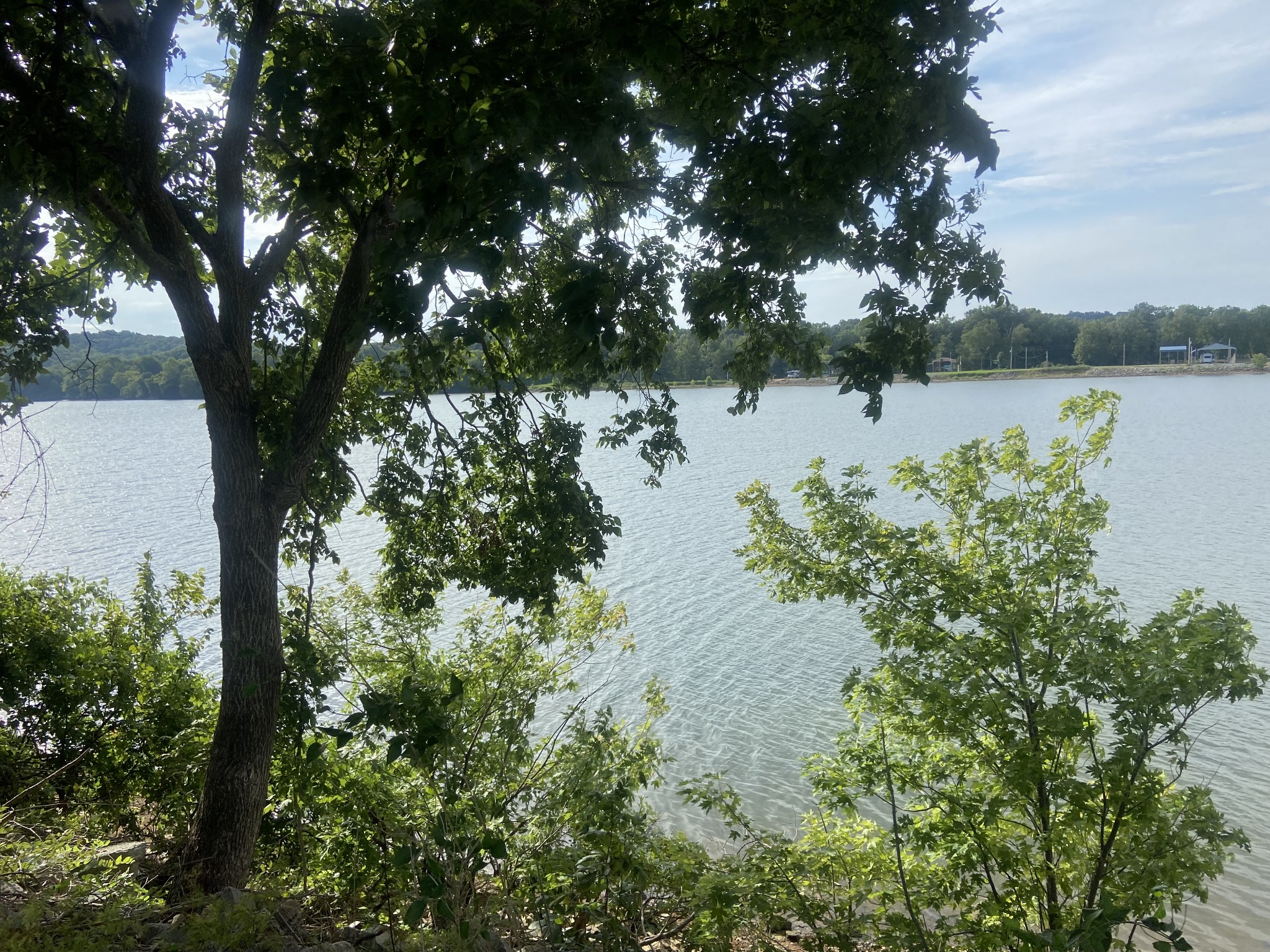 0 Yarbro Landing Lane Decaturville, TN 38329 - Photo 4 of 9 a view of a lake with a tree