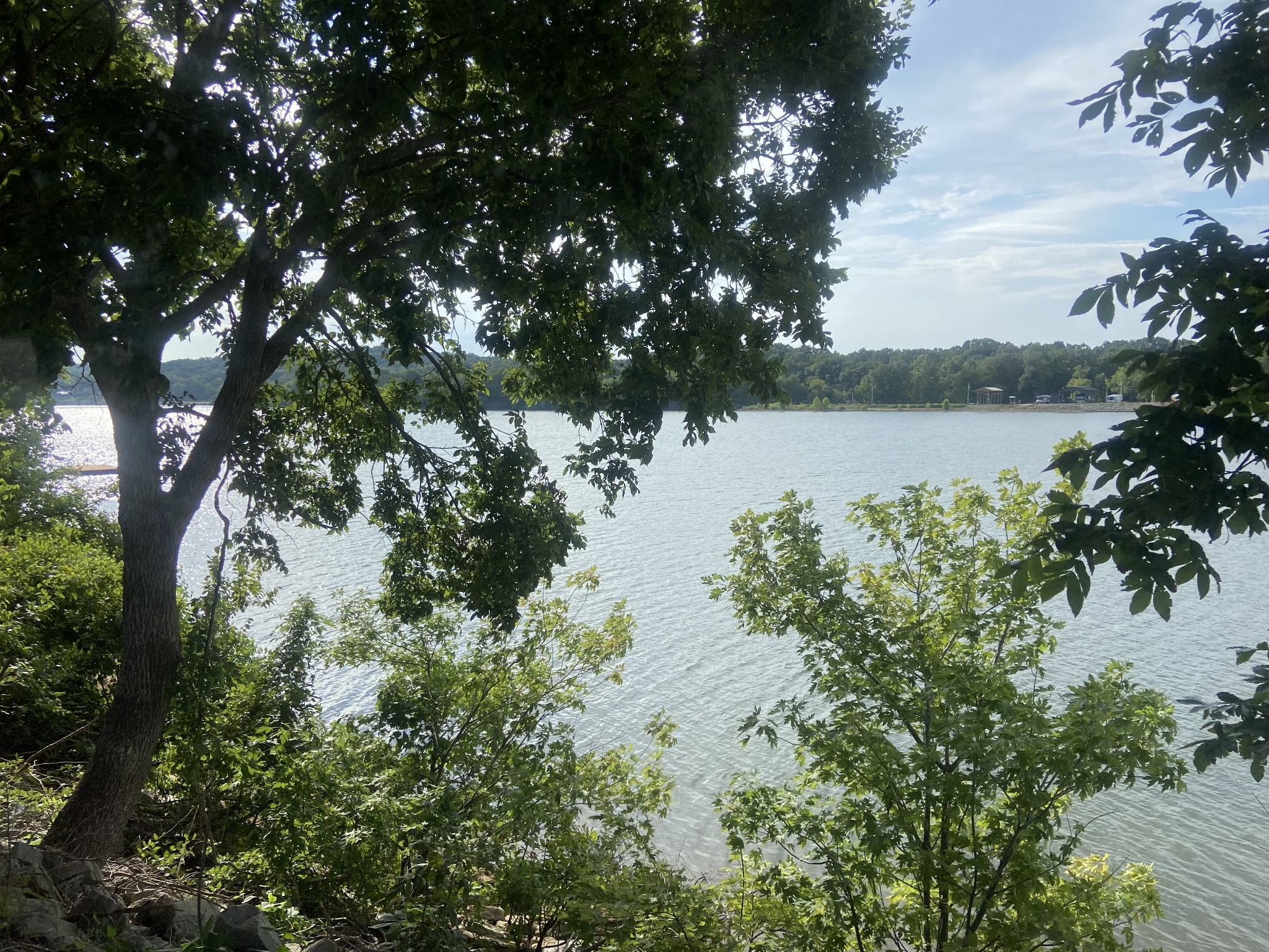 0 Yarbro Landing Lane Decaturville, TN 38329 - Photo 6 of 9 a view of a lake in between the bunch of trees