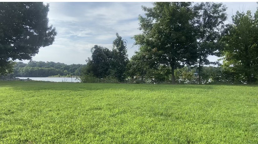 0 Yarbro Landing Lane Decaturville, TN 38329 - Photo 9 of 9 a view of a field of grass and trees