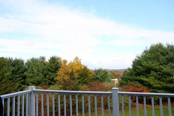 48 Tanglewood Road Amherst, MA 01002 - Photo 28 of 30 Gallery Image 28