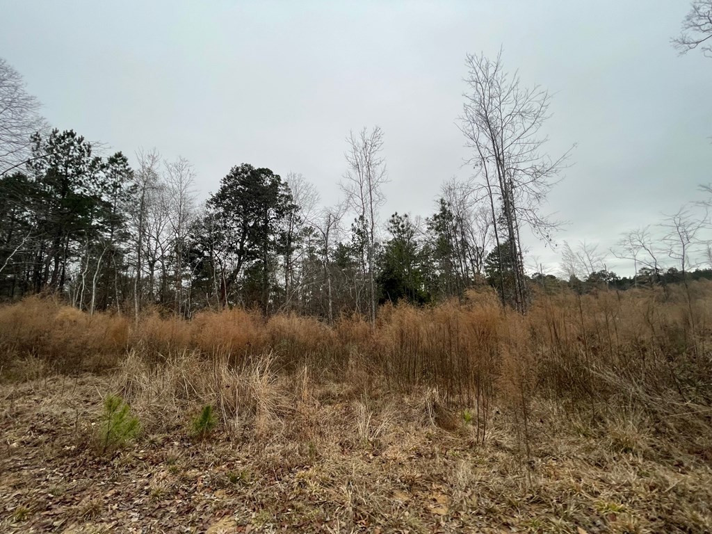 0 Bonus Road Meadville, MS 39653 - Photo 5 of 17 Photo 5