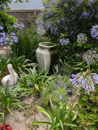 a view of a flower in a garden