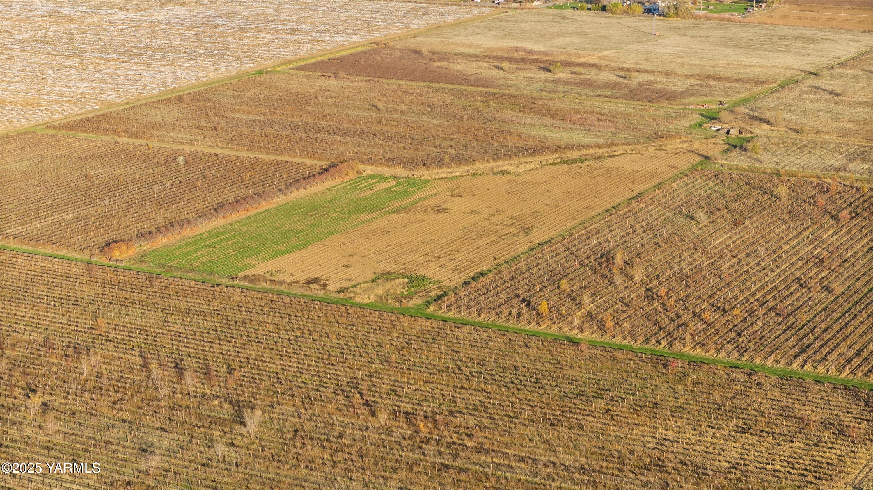 6263 Ashue Road Wapato, WA 98951 - Photo 6 of 9