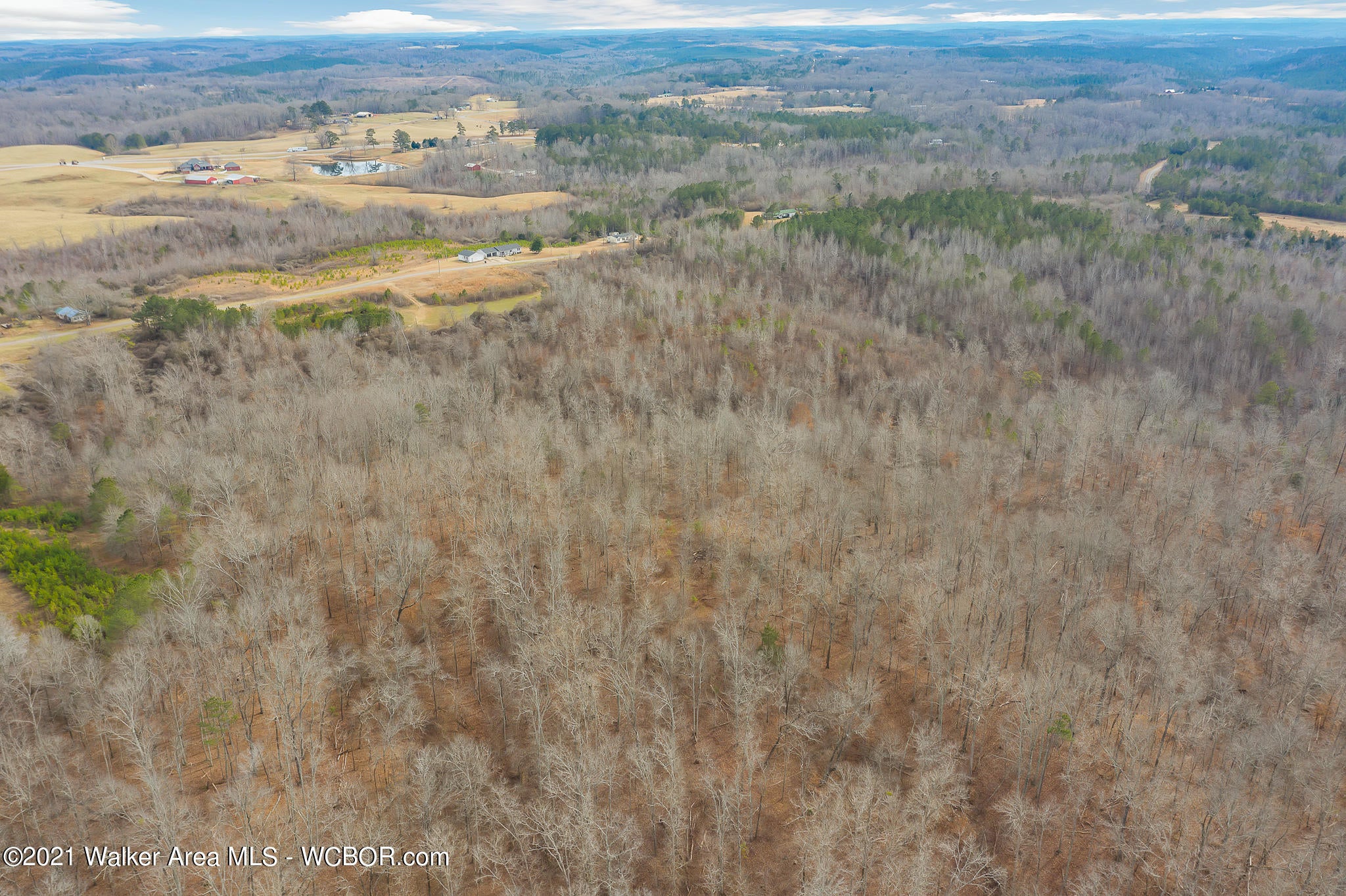 Howell Road Hamilton, AL 35570 - Photo 9 of 10 Gallery Image 9
