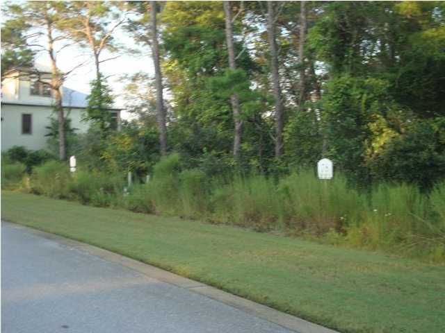 78 Grande Pointe Cir Inlet Beach Inlet Beach, FL 32461 - Photo 3 of 8 a view of a lush green forest next to a lake