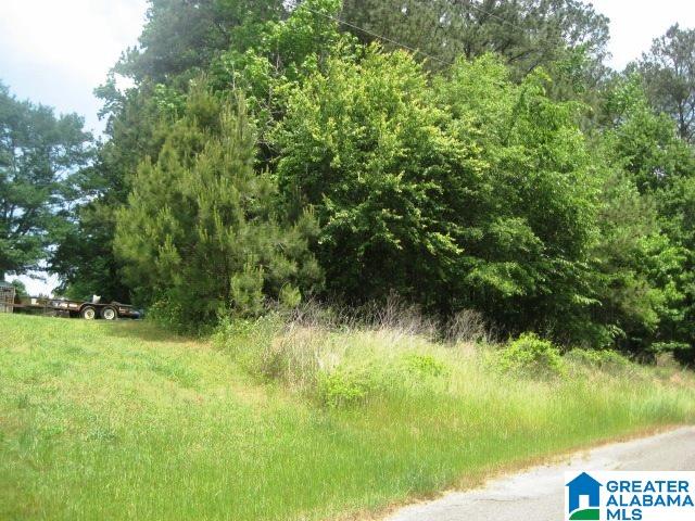 0 Sulphur Springs Road, Unit 10 ACRES Lincoln, AL 35096 - Photo 8 of 32