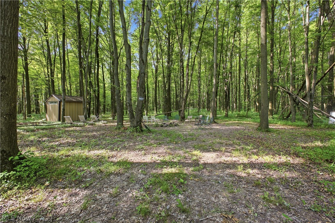 461 South Salem-Warren Road North Jackson, OH 44451 - Photo 40 of 50 Your own campgrounds!