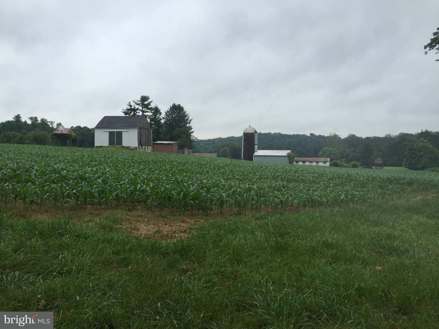 60 Barren Road Nottingham, PA 19362 - Photo 4 of 11