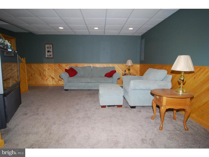 415 Texter Mountain Road Robesonia, PA 19551 - Photo 16 of 25 Rec Room