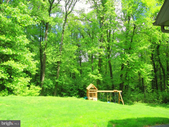 415 Texter Mountain Road Robesonia, PA 19551 - Photo 23 of 25 View in Back