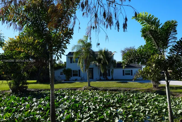 a view of a yard with plants