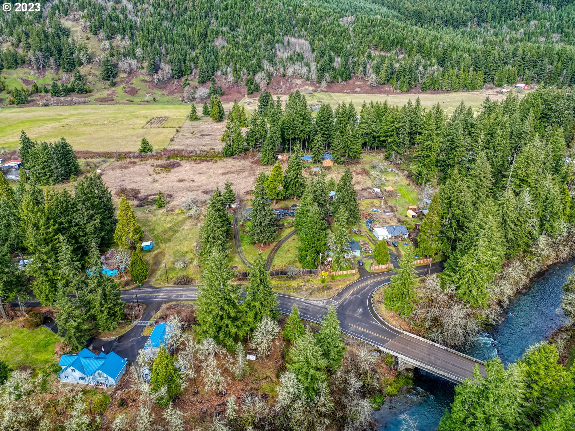 38211 Row River Road Dorena, OR 97434 - Photo 30 of 32 a view of a yard with plants and large trees