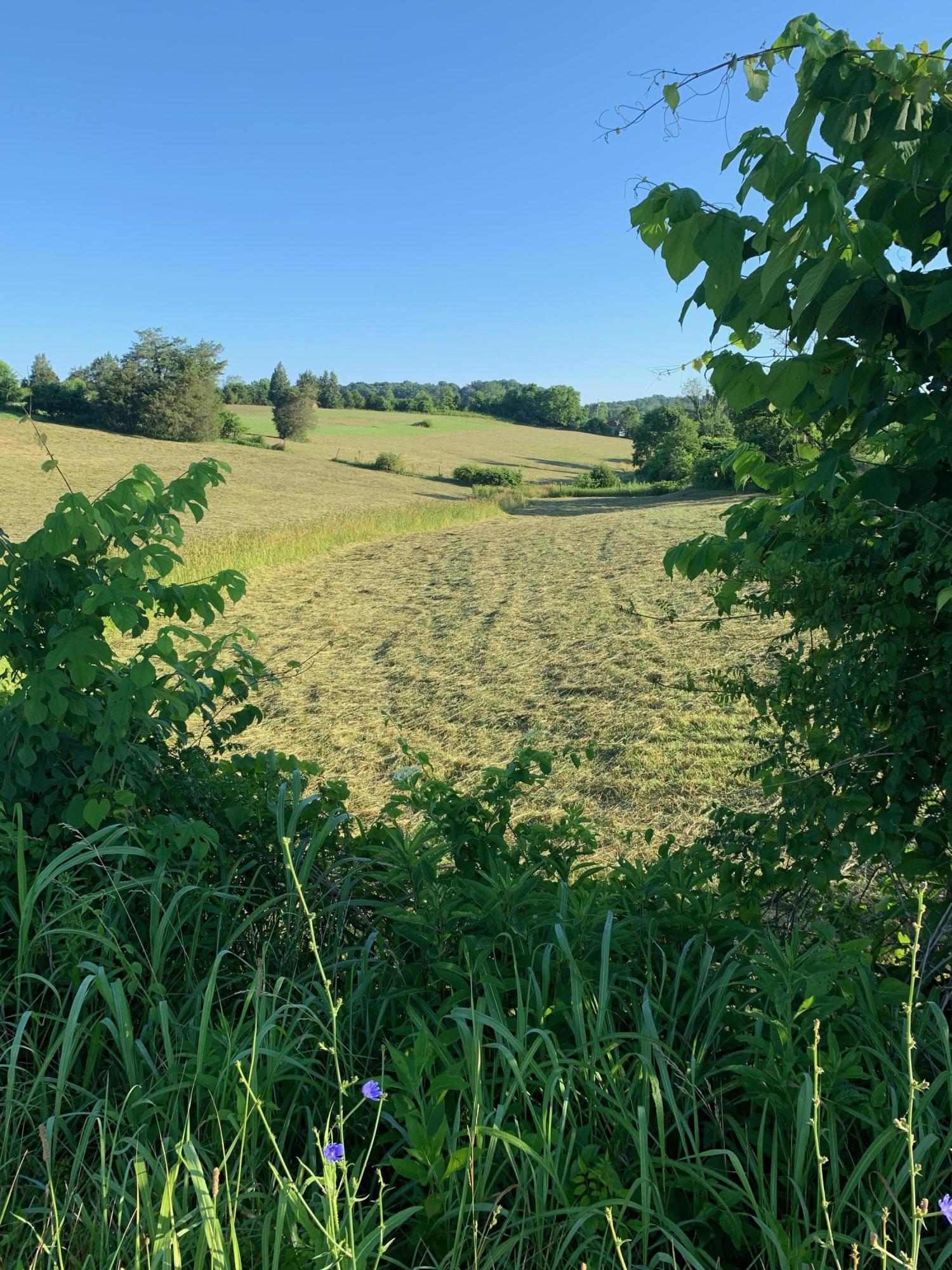 2190 Old Log Lick Road Winchester, KY 40391 - Photo 15 of 19 image0