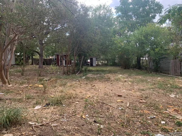 a view of a backyard with large trees