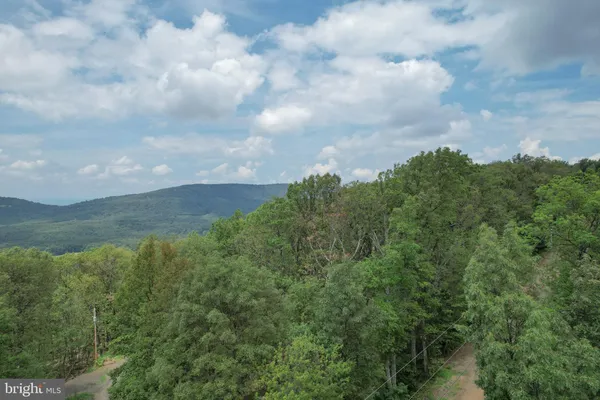 a view of a bunch of trees
