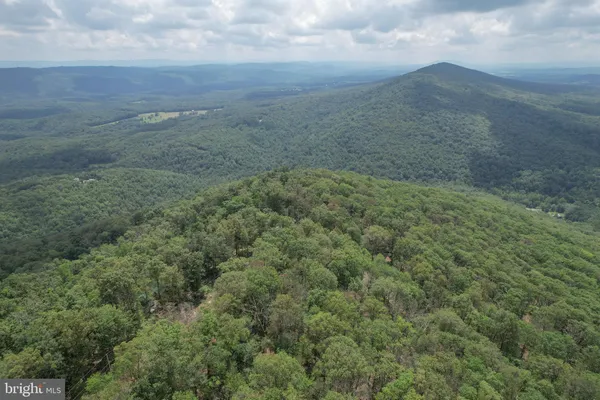 a view of a field with large trees