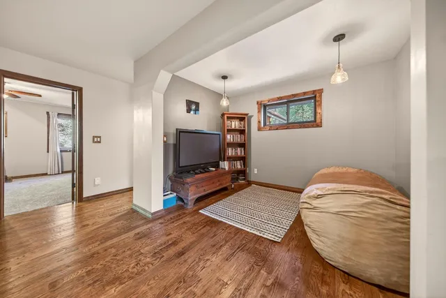 a view of a lush green forest with a mountain in the background