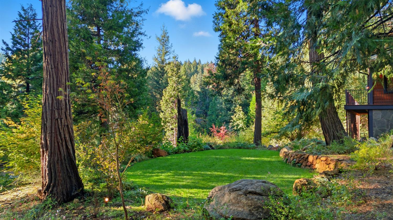 11234 Valencia Road Nevada City, CA 95959 - Photo 4 of 62 Lawn