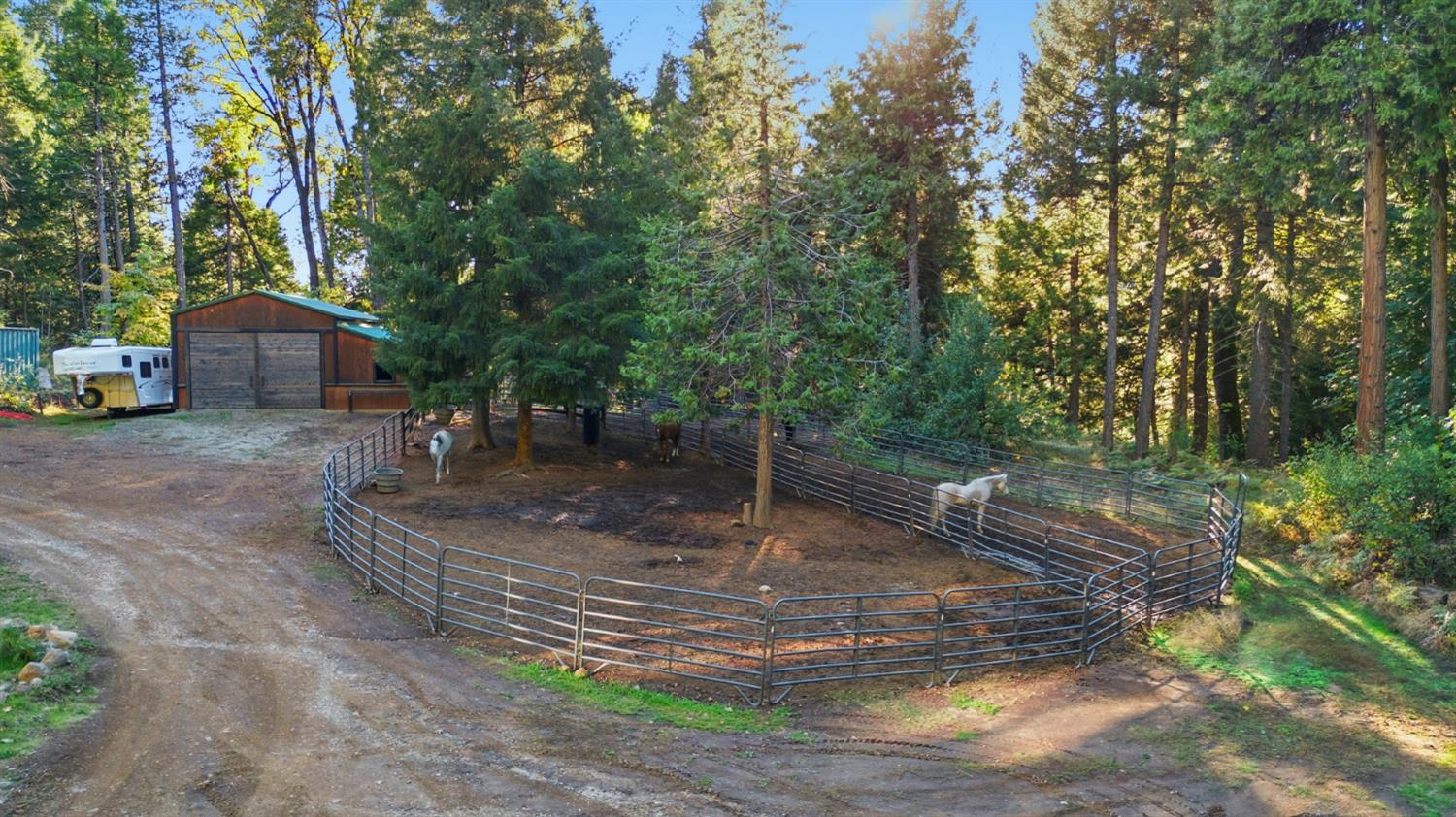 11234 Valencia Road Nevada City, CA 95959 - Photo 52 of 62 Barn
