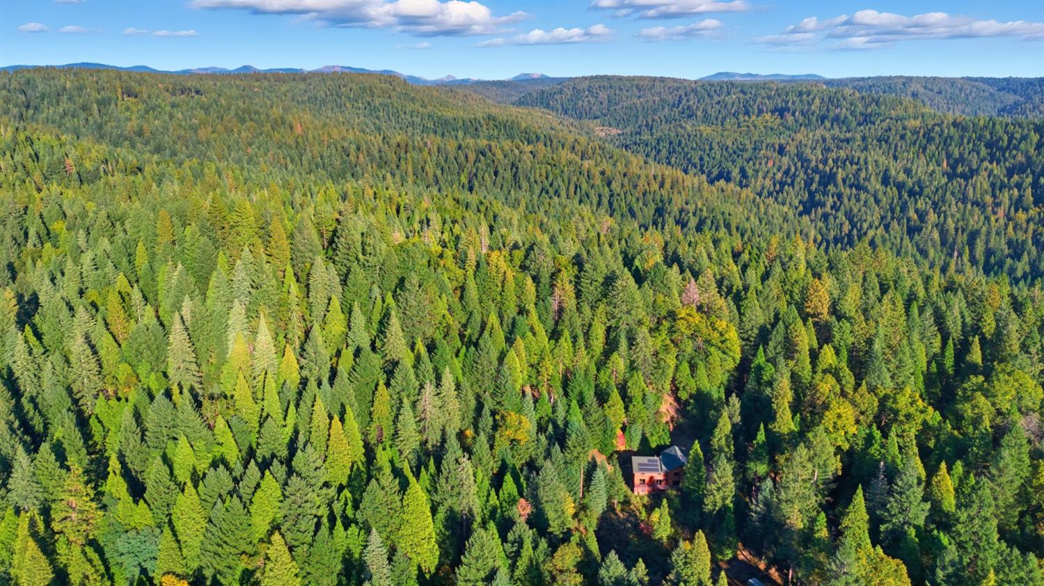 11234 Valencia Road Nevada City, CA 95959 - Photo 58 of 62 a view of a lush green forest with a mountain in the background
