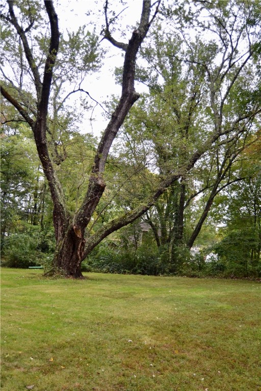 14 Slavin Path Glocester, RI 02814 - Photo 35 of 36 Front yard