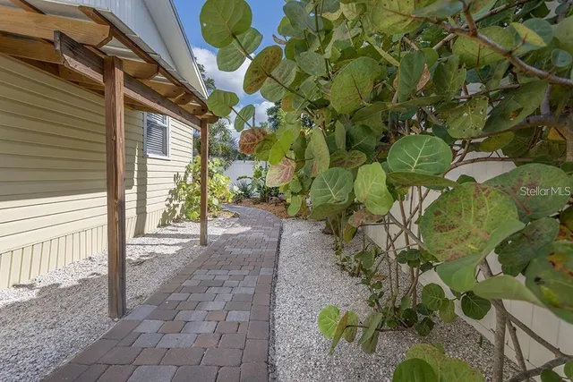 a view of a pathway with a tree