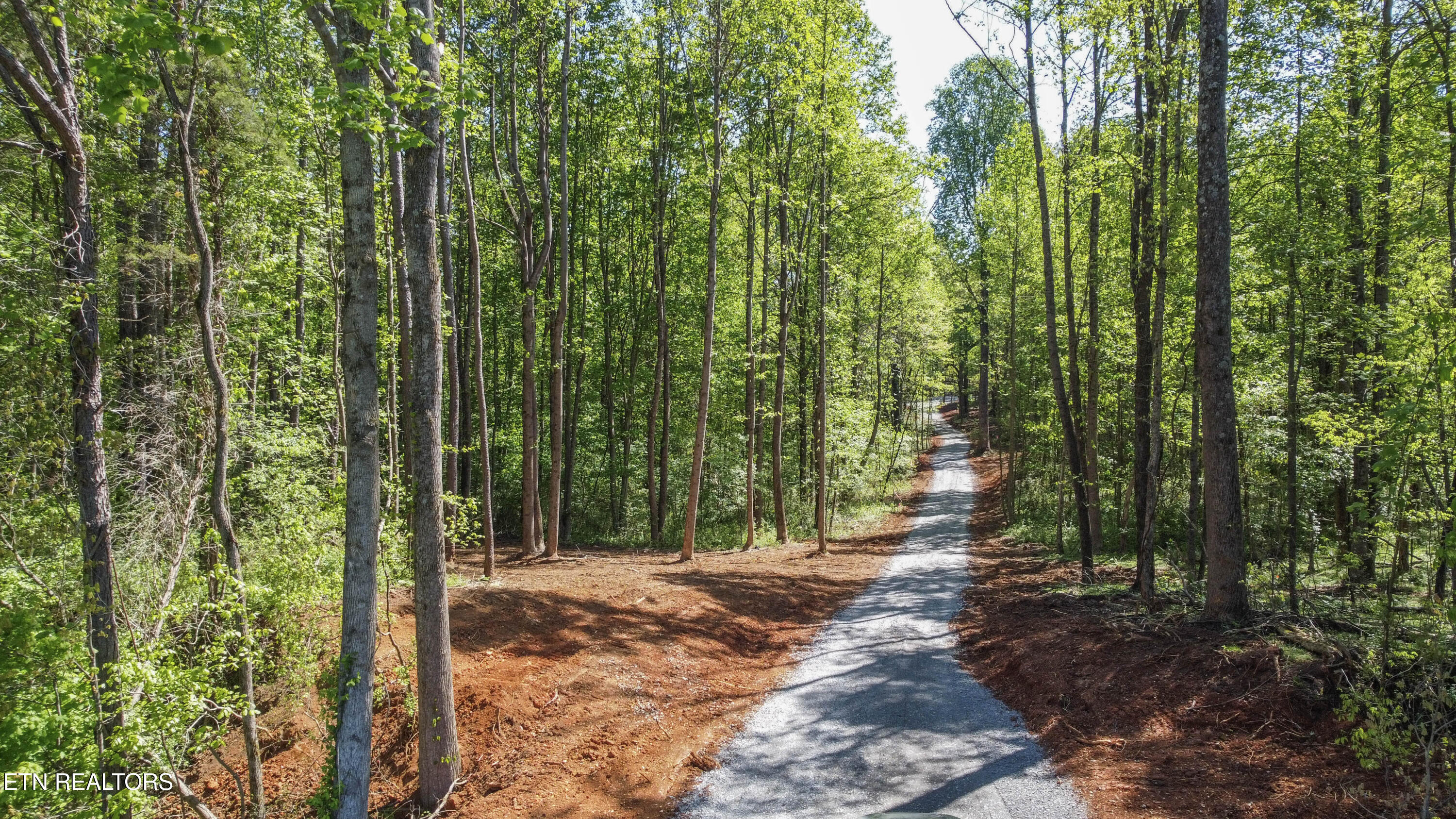 Lot #3 Dry Valley Road Loudon, TN 37774 - Photo 2 of 8 ground 1
