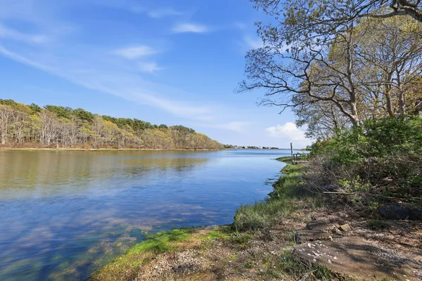 a view of a lake from a yard