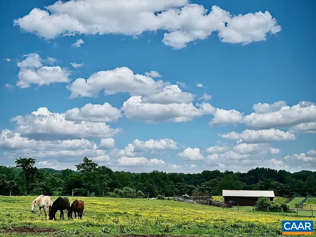 a view of a golf course with a lake