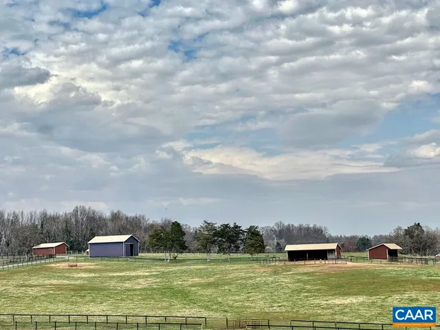 a view of a park with a tree