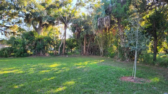 a backyard of a house with lots of green space