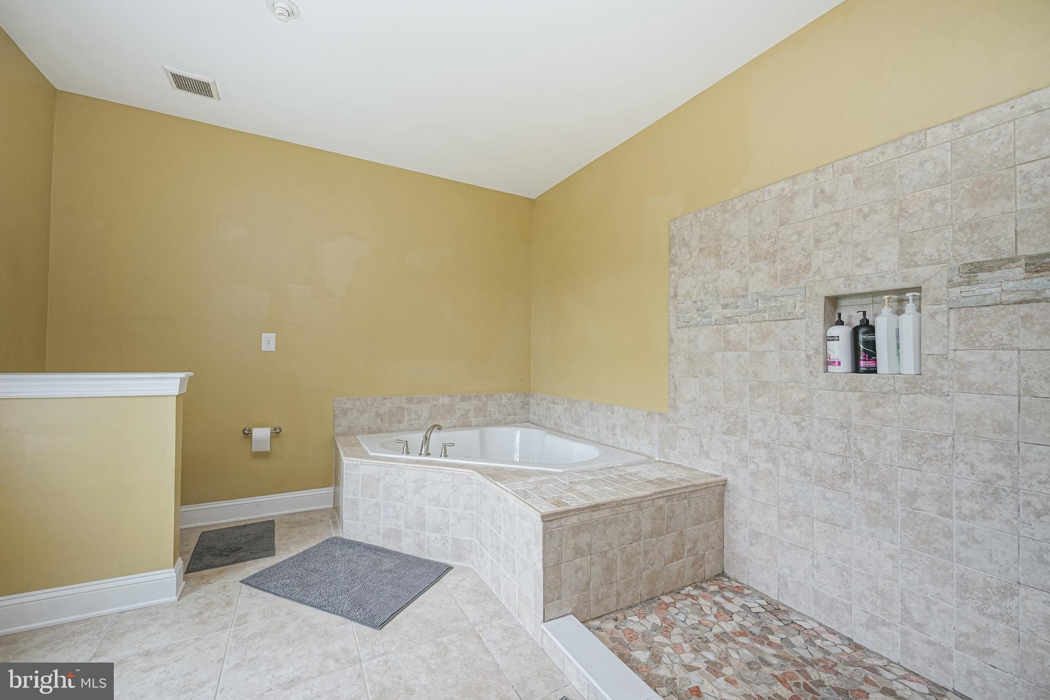 46 Quaker Road Mickleton, NJ 08056 - Photo 31 of 60 Master Bathroom