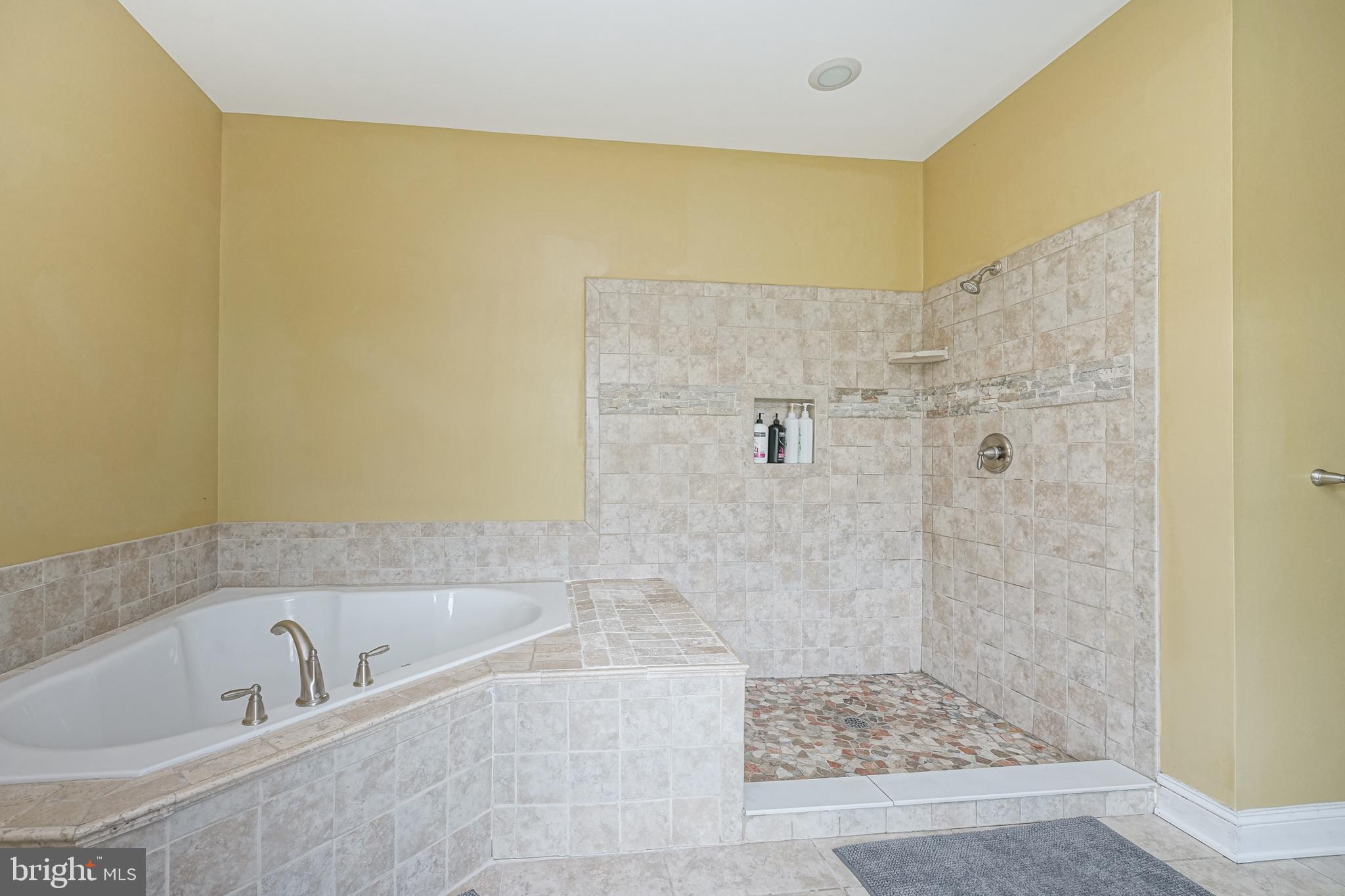46 Quaker Road Mickleton, NJ 08056 - Photo 32 of 60 Master Bathroom