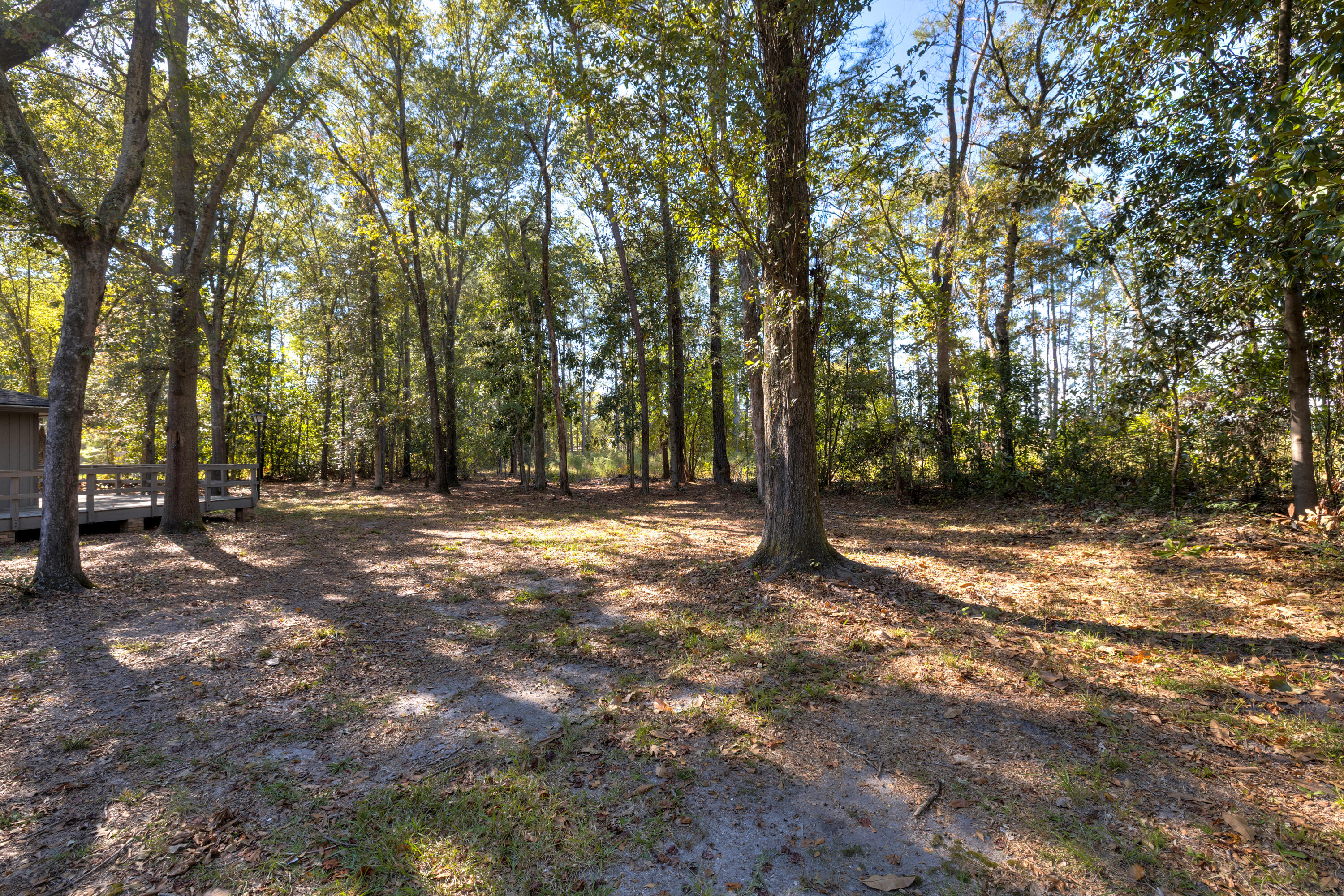 960 Heather Lane Sumter, SC 29154 - Photo 9 of 54