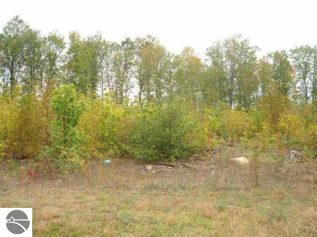 488 Clous Road Kingsley, MI 49649 - Photo 14 of 15 1719803-13.JPG