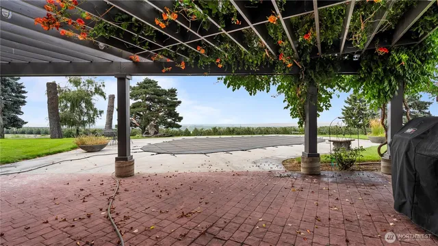 a view of a backyard with large tree