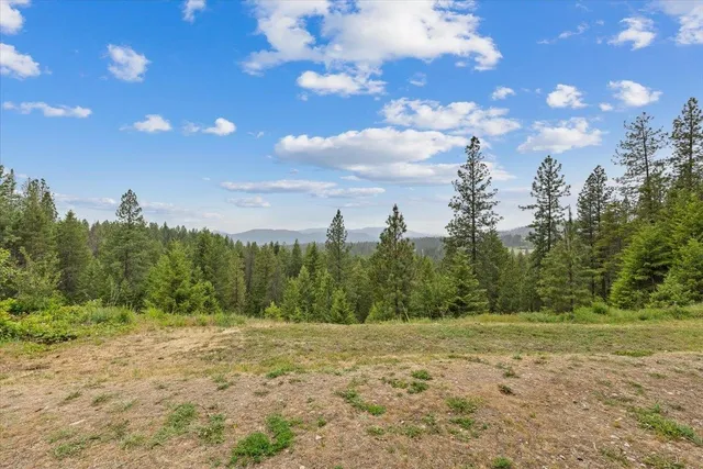 $510,000 | 2559 F United Copper Mine Road, Chewelah, WA 99109