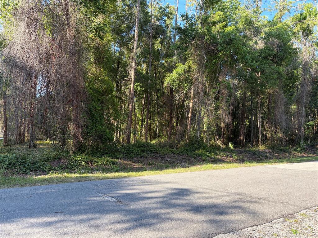 9192 Cr 647cs Bushnell Bushnell, FL 33513 - Photo 2 of 3