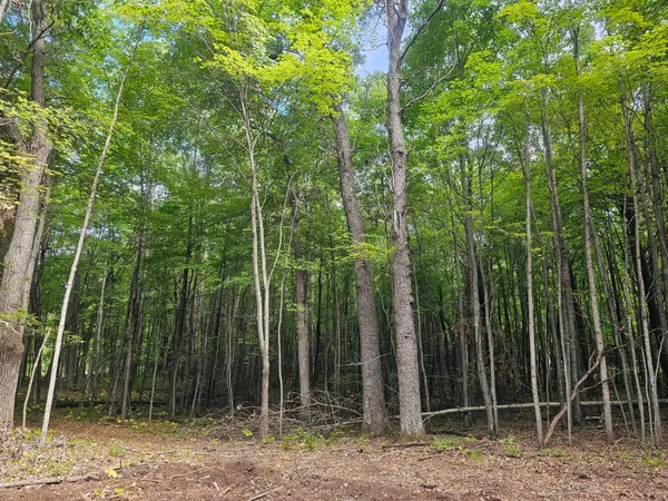 $33,500 | Lot 6 Ken Can Lane, Webster, WI 54893