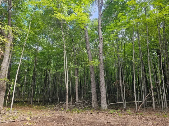 $33,500 | Lot 6 Ken Can Lane, Webster, WI 54893